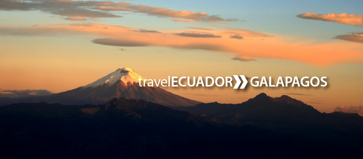 travel ecuador to galapagos